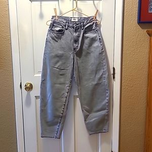 Agolde Wide Leg Jeans